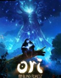 Ori and the Blind Forest indir