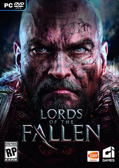Lords Of The Fallen PC indir