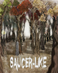 Saucer-Like-9