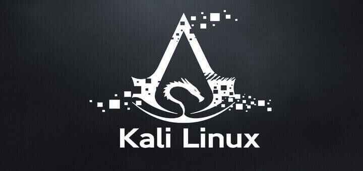Kali Linux 2018 Full İndir – (x64-x32)